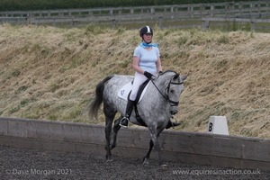 ISIS Dressage Challenge 2008